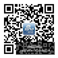 马斯坦托诺,岁帽子戏法,助紫百合开,熊猫体育,熊猫体育新手,快速入门