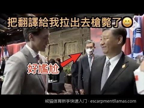 玩转熊猫体育必看：新手如何快速看懂体育盘口与赔率基础